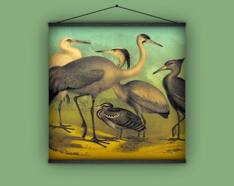 水鳥、鶴、自然史、1880 年代、アンティーク、ビンテージ、壁掛け、室内装飾、バナー、ポスター