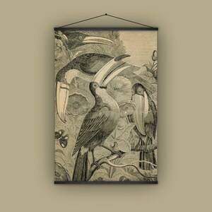 Toucans, birds, birdwatcher, gift for him or her, natural history, wall hanging, antique, vintage, jungle, pull down chart