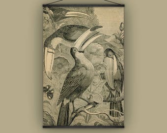 オオハシ、鳥、バードウォッチャー、彼または彼女への贈り物、自然史、壁掛け、アンティーク、ビンテージ、ジャングル、プルダウンチャート