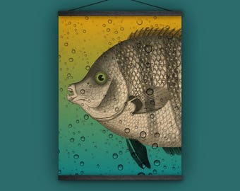 魚、ポワソン、壁掛け、室内装飾、自然史、アンティーク、アウトドアマン、ヴィンテージ、ハンター、彼への贈り物、漁師、1800 年代
