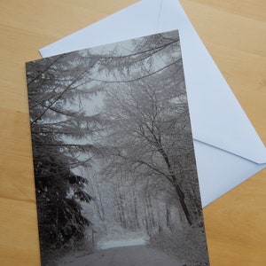 Snowy Forest Photo Greetings Card image 3