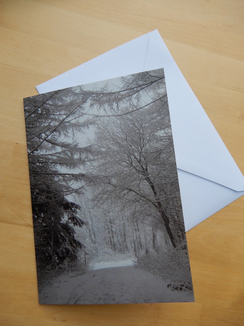 Snowy Forest Photo Greetings Card image 3