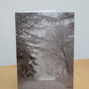 Snowy Forest Photo Greetings Card image 2