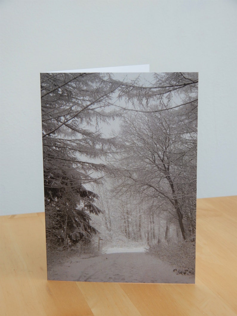 Snowy Forest Photo Greetings Card image 2