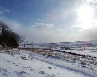 Photography Print Snow Scene
