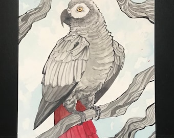 African Grey— Original Illustration on Artboard