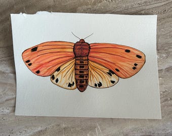 Isabella Tiger Moth ORIGINAL watercolor illustration