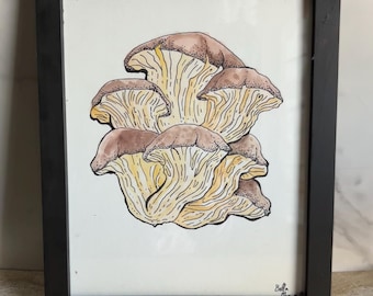 Oyster Mushrooms -  framed ORIGINAL illustration on artboard