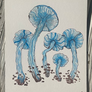Pixie&#39;s Parasol Mushrooms - ORIGINAL Illustration