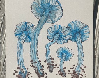 Pixie's Parasol Mushrooms - ORIGINAL Illustration