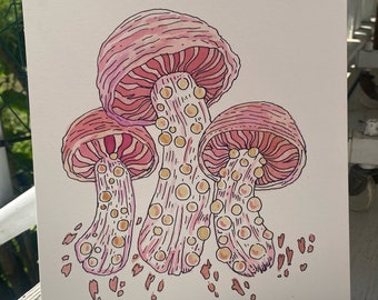 Netted Rhodotus Mushrooms- ORIGINAL illustration on artboard