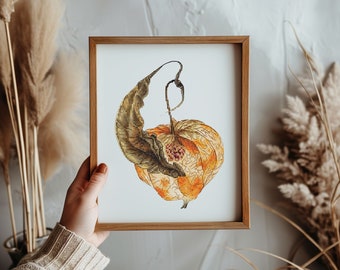 Cross stitch pattern physalis, digital PDF Saga, botanical design, floral x-stitch pattern, embroidery scheme, flower, autumn design