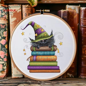 Könnte beinhalten: Kreuzstich-Stickerei in einem Holzrahmen mit einer schwarzen Katze, die einen Hexenhut trägt und auf einem Stapel bunter Bücher sitzt. Gelbe Sterne umgeben die Katze. Der Hintergrund zeigt alte Bücher.