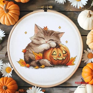 May include: A cross stitch pattern featuring a cute gray and white cat curled up with a smiling orange pumpkin. The cat is surrounded by autumn leaves and the background is a light brown wood.