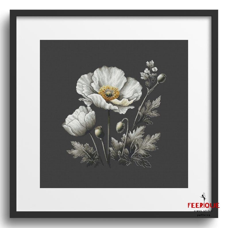 Pu&ograve; includere: Un fiore di papavero bianco con un centro giallo su uno sfondo grigio scuro. Il fiore &egrave; circondato da foglie verdi e boccioli.