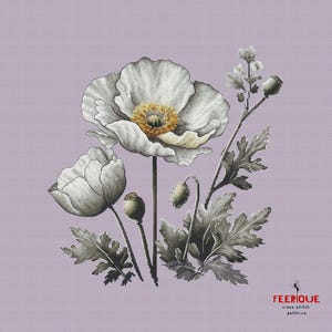 Pu&ograve; includere: Uno schema di punto croce con un fiore di papavero bianco con un centro giallo, circondato da foglie e boccioli grigi. Lo schema &egrave; su uno sfondo viola chiaro.