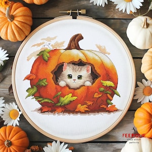 May include: A cross-stitch pattern in a wooden hoop features a kitten peeking out of a pumpkin. The pumpkin is orange with green leaves and brown accents. The background includes pumpkins and daisies.