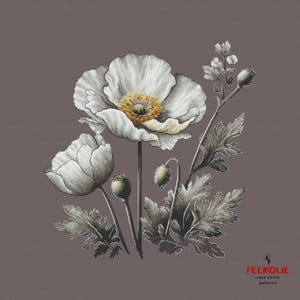 Pu&ograve; includere: Uno schema di punto croce con un bouquet di papaveri bianchi con centri gialli e foglie grigio-verdi su uno sfondo grigio. Lo schema &egrave; intitolato "FEERIQUE cross stitch patterns".