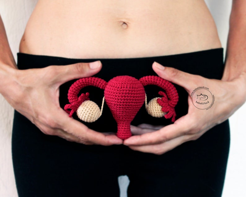 Uterus With Fallopian Tubes & Ovaries Womb model Doula | Etsy