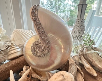 Embellished Polished Nautilus Shell with Rhinestone Crystals - Polished Nautilus - Coastal Home Decor - Seashells - Beach Wedding - Home