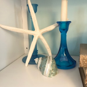 May include: A white starfish, a blue glass candle holder with a white candle, and a blue and silver seashell on a white shelf.