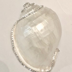 May include: A white seashell with a decorative trim of rhinestones around the edge.