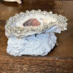 Puede incluir: Una concha de ostra decorativa con un borde plateado con incrustaciones de joyas. La concha es blanca con un interior marrón y rosa. La concha de ostra descansa sobre una base blanca texturizada, exhibida sobre una superficie de madera.