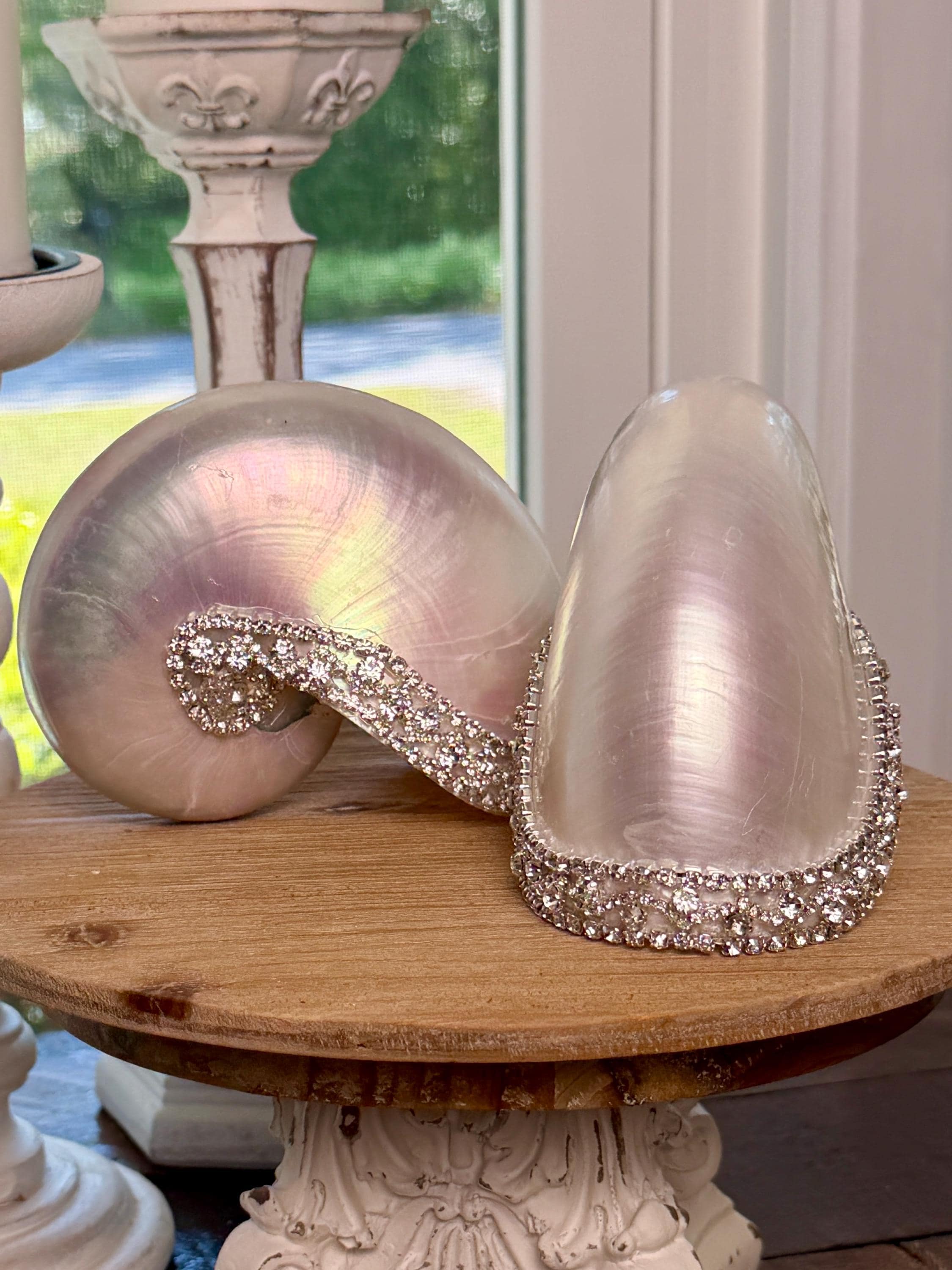 極美品/18cm特大サイズ】オウムガイ 貝殻 パール磨き仕様 完品 置物 Etsy 日本 Pearl nautilus 貝殻 オウムガイ 完品 極美品⁄18cm特大