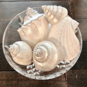 May include: A glass bowl filled with five white seashells decorated with rhinestones. The shells are arranged in a cluster, with the largest shell at the back and the smallest shell in the front.