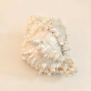 Embellished Pearlized color with pearl accents shell perfect for Coastal Decor Wedding tables