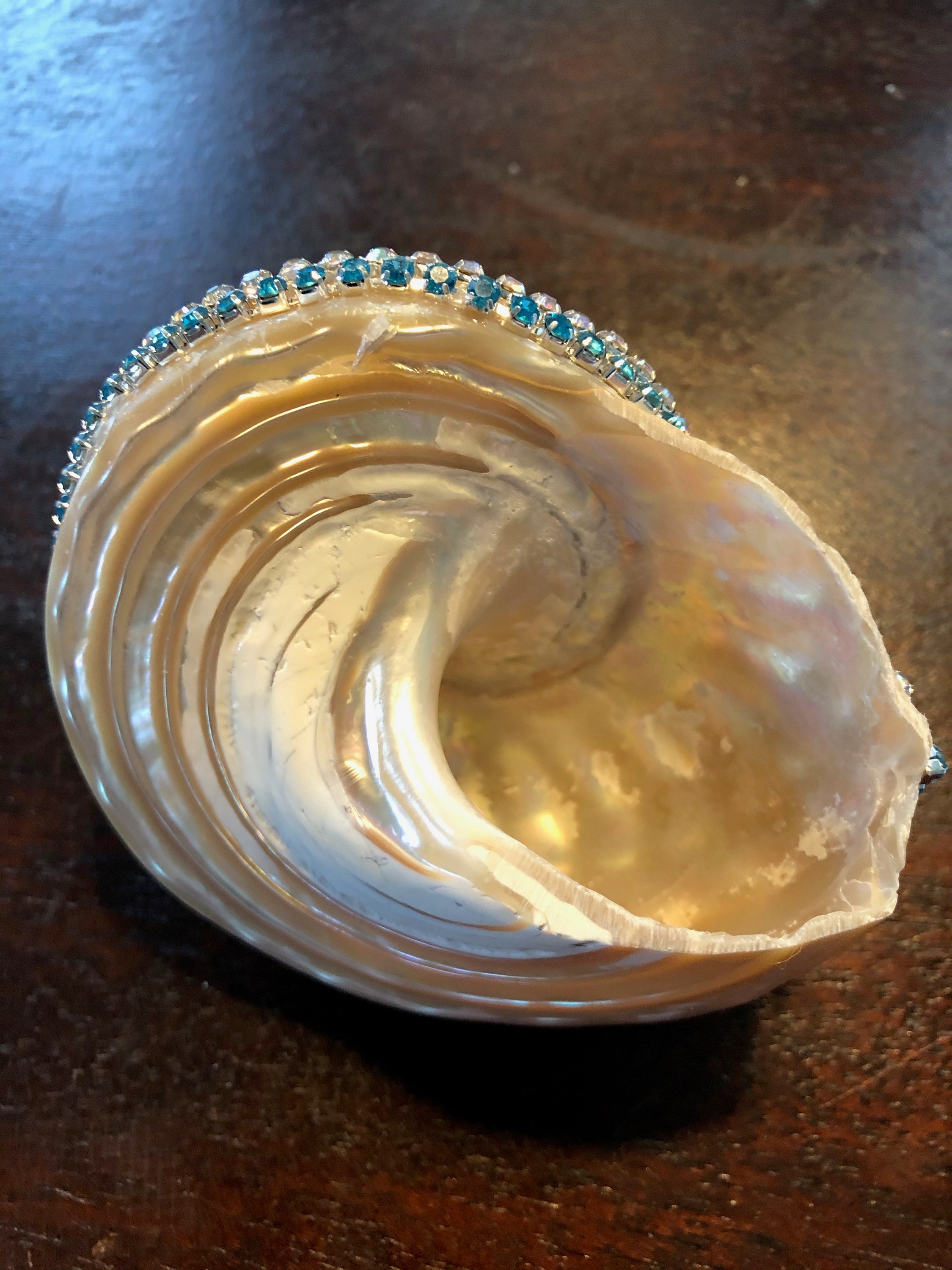 Shell Pearl Color Polished Turbo Shell, Pearl Color Embellished With Rhinestone Crystals ...