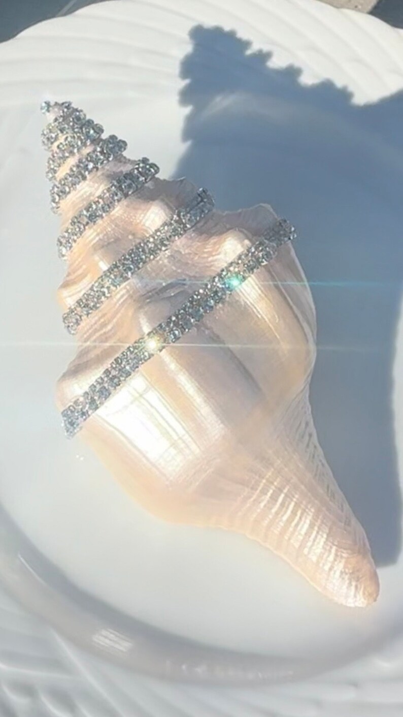 Embellished Shells, Pearl Color Embellished With Rhinestone Crystals 6 ...