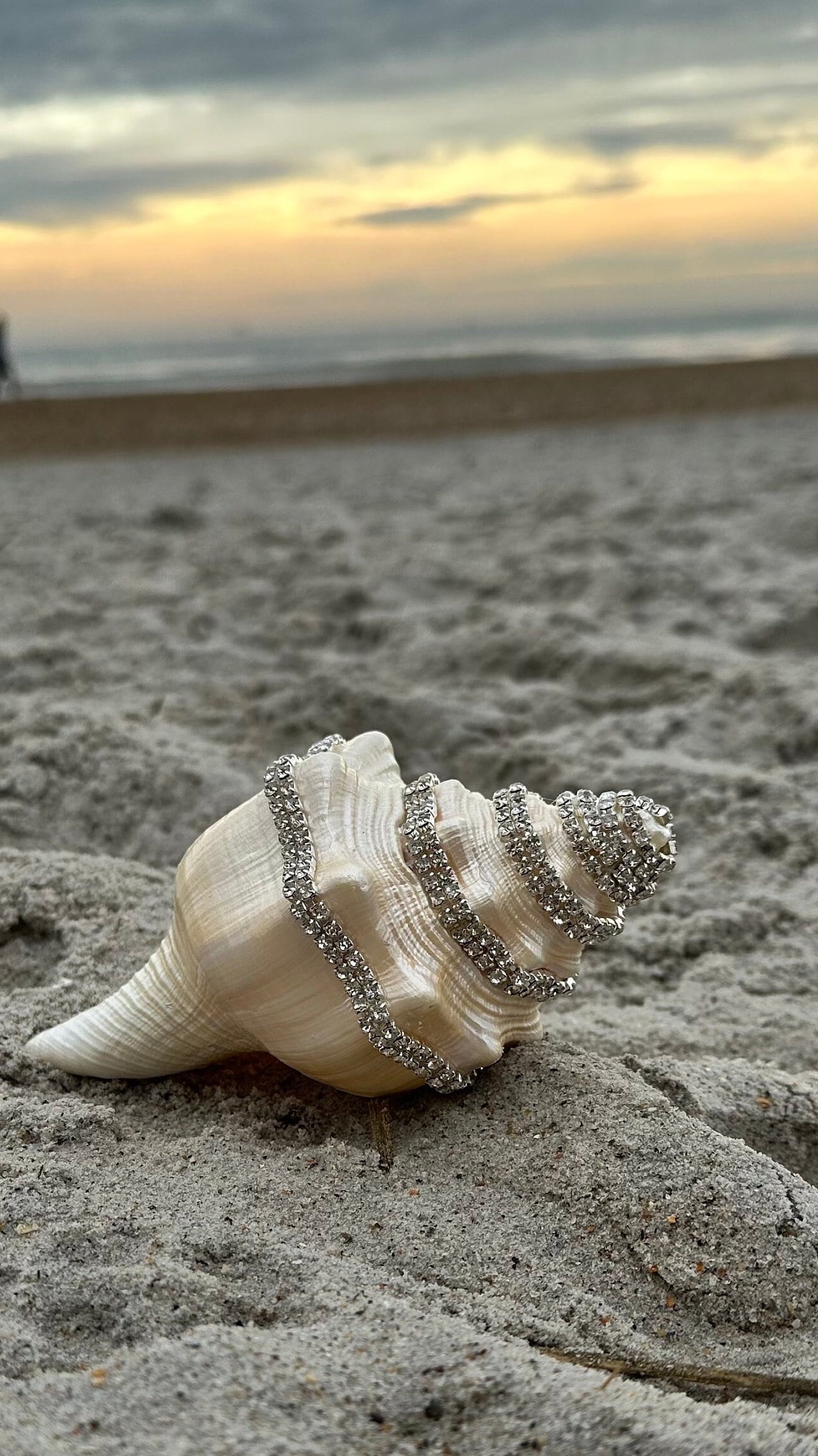 Embellished Shells, pearl color embellished with rhinestone crystals 6 - 7.25 inches. Perfect for you beach wedding or seaside cottage
