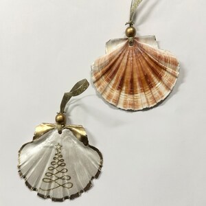 May include: Two seashell Christmas ornaments. One is natural with brown and white stripes. The other is painted white with a gold Christmas tree design.