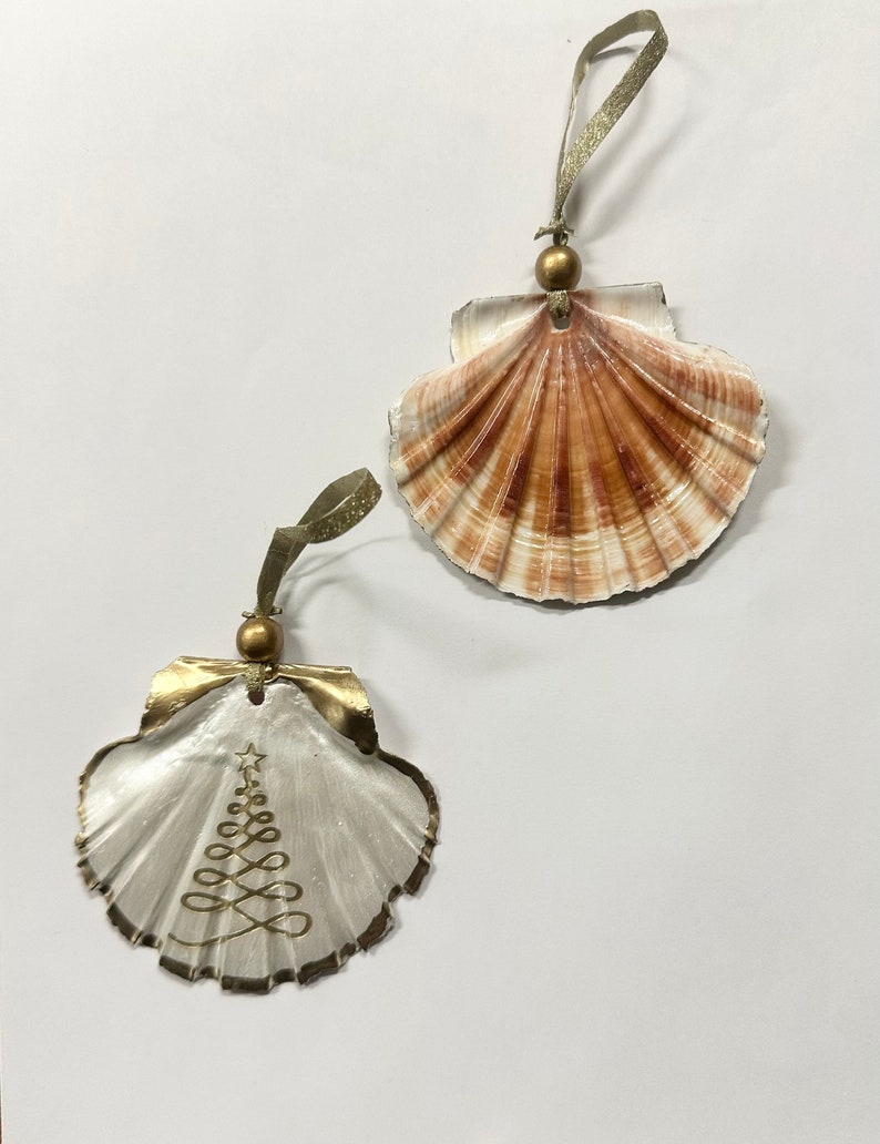 May include: Two seashell Christmas ornaments. One is natural with brown and white stripes. The other is painted white with a gold Christmas tree design.