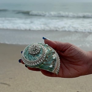 May include: A large, teal seashell adorned with sparkling rhinestones. The shell is held against a backdrop of a sandy beach and ocean waves. The rhinestones are arranged in a spiral pattern, adding a touch of glamour to the natural beauty.