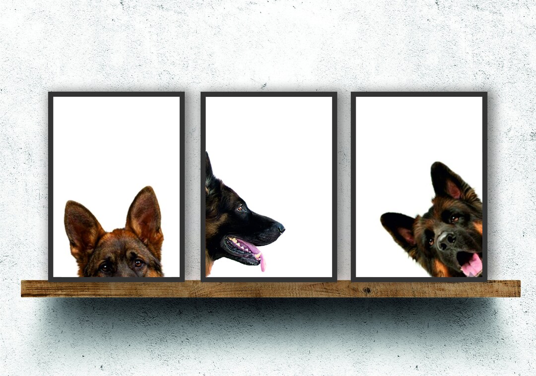 Alsatian German Shepherd Dog Print Poster Wall Art Gift Present Peepers ...