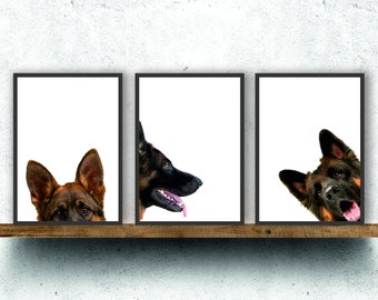 Alsatian German Shepherd dog print poster wall art gift present peepers triple pack