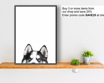 May include: A black and white husky dog peeks over the top of a framed print. The dog's blue eyes are visible. The print is on a wooden shelf with two small potted plants.