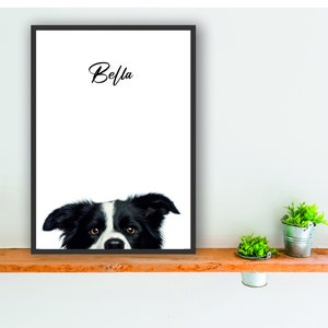 Border Collie dog personalised print poster wall art peeper 1 gift present