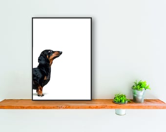 ダックスフントの解剖学 A4 サイン入りプリント - Etsy 日本