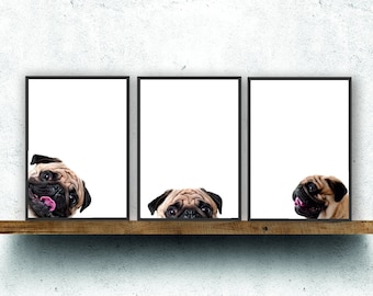 Pug dog print poster wall art peepers triple pack gift present