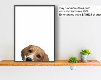 BEAGLE dog print poster wall art peeper gift present