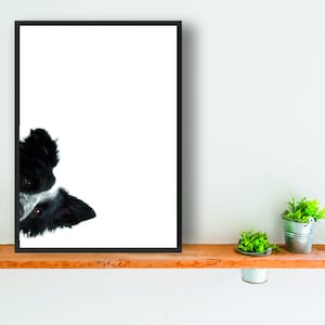 Border Collie dog print poster wall art peepers 1