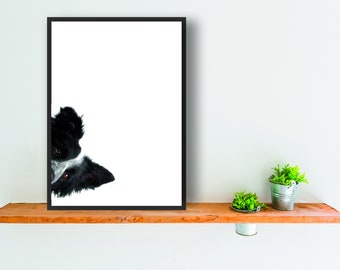 Border Collie dog print poster wall art peepers 1