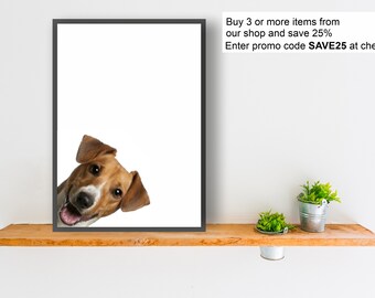 May include: A brown and white dog with a happy expression peeks around the corner of a white framed picture. The picture is on a wooden shelf with two small potted plants.