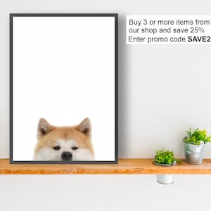 JAPANESE AKITA dog print poster wall art peeper gift present