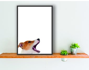 May include: A framed photograph of a dog with its mouth open, looking up. The dog is white and brown with black eyes. The frame is black and the background is white.
