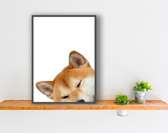 Japonés Shiba Inu perro impresión cartel pared arte regalo presente mirón 3