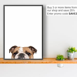 ENGLISH BULLDOG dog print poster wall art peeper gift present